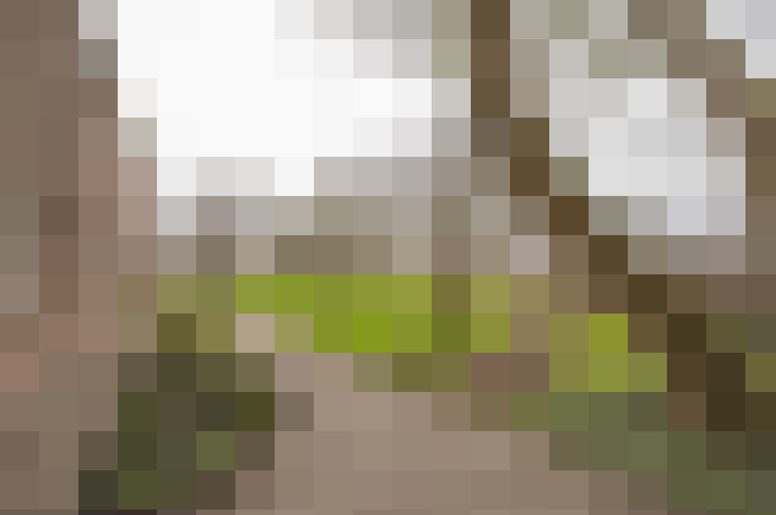 Image 14