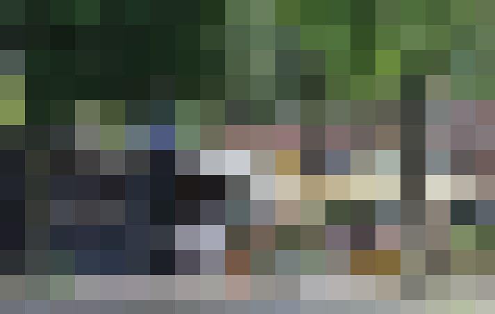 Image 59