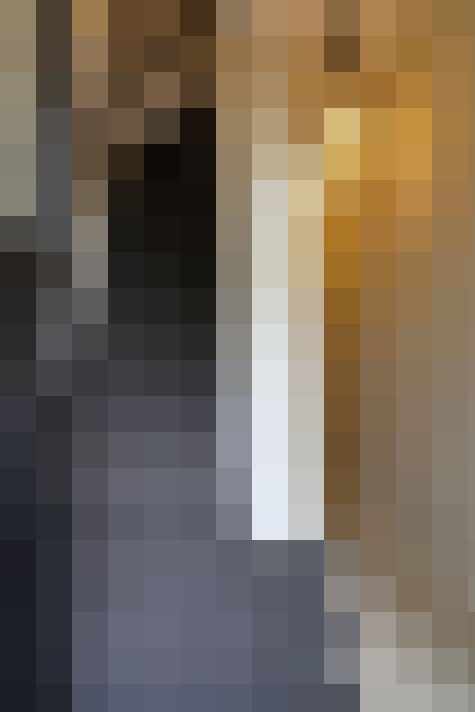 Image 41