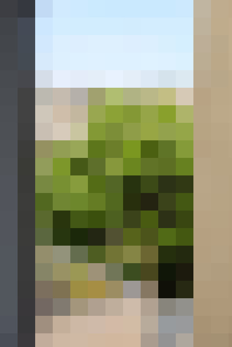 Image 23