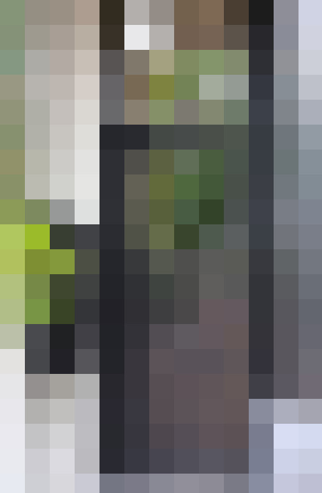 Image 40