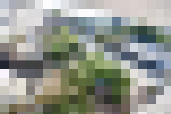 Image 20