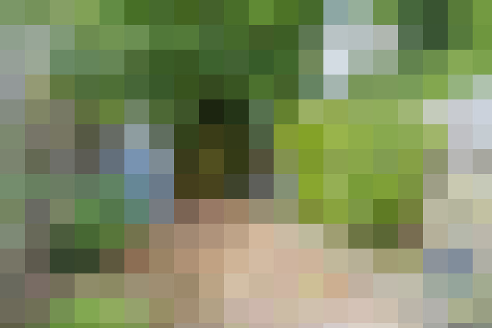 Image 34