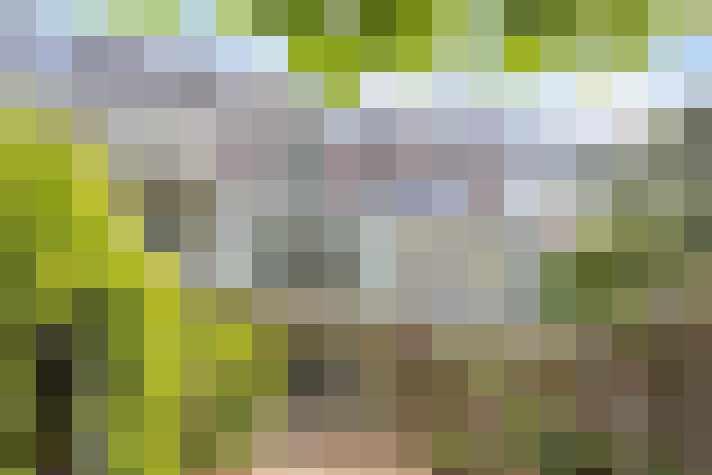 Image 35