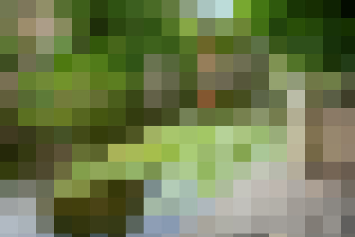 Image 51