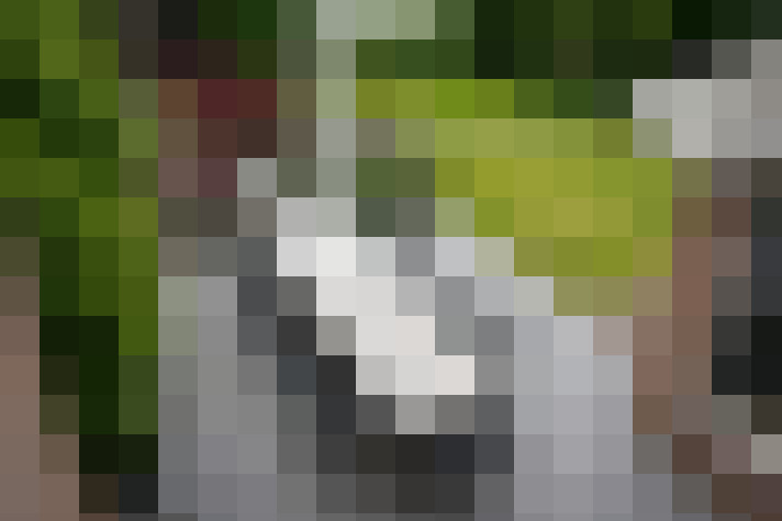 Image 49