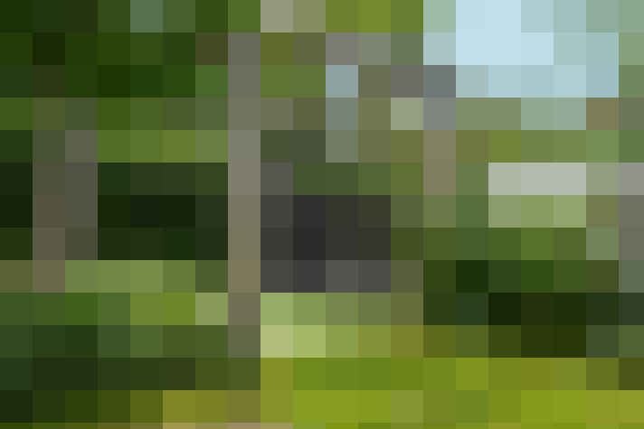 Image 47