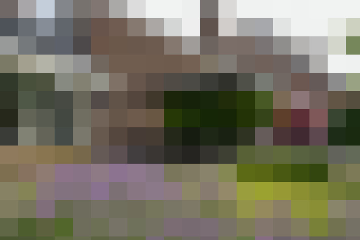 Image 46