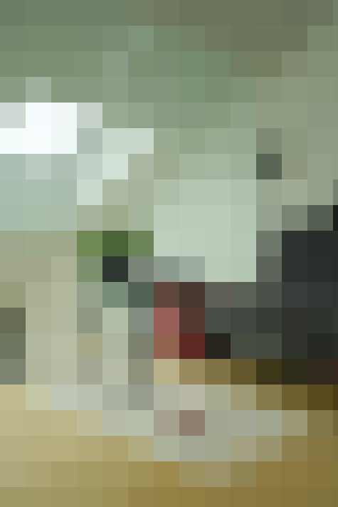 Image 17