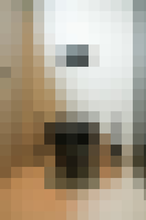 Image 28