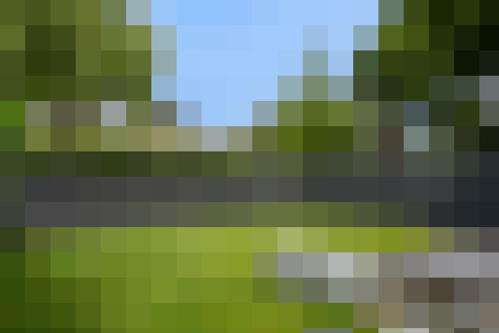 Image 44