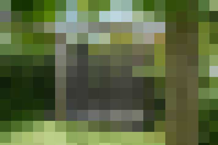 Image 50