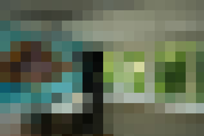 Image 31