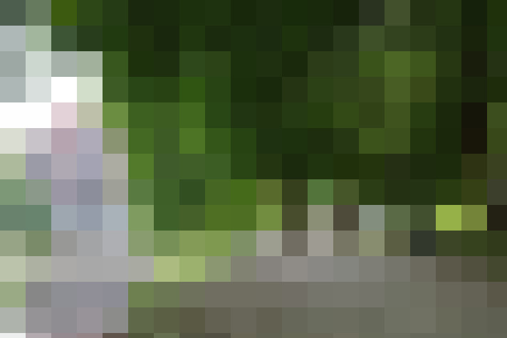 Image 57