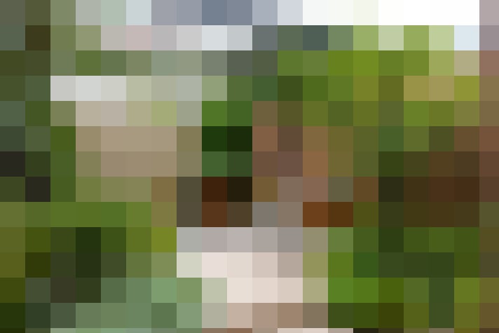 Image 37