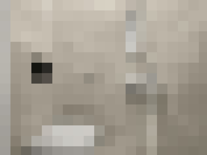Image 20