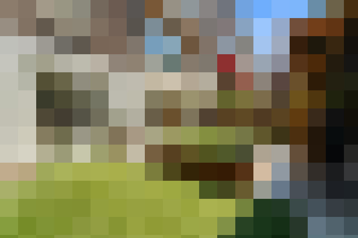 Image 30