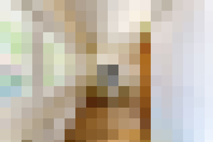 Image 17