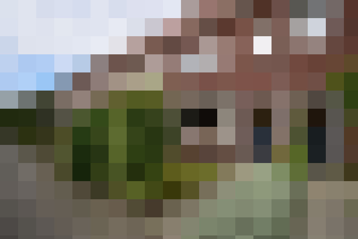 Image 19