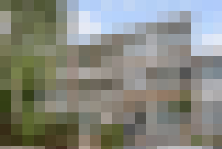 Image 21