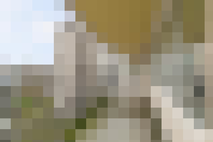 Image 14