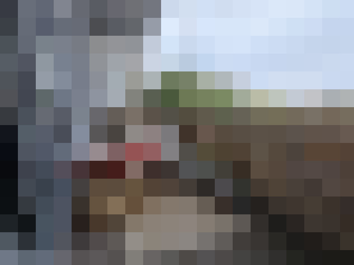 Image 15
