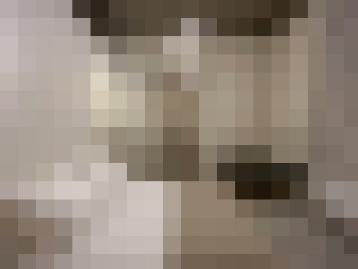  / #11