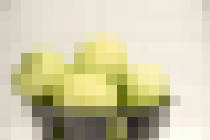 / #27