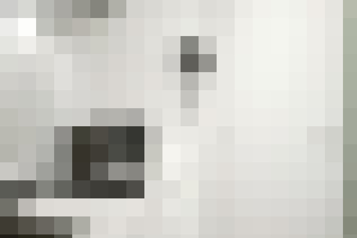  / #15