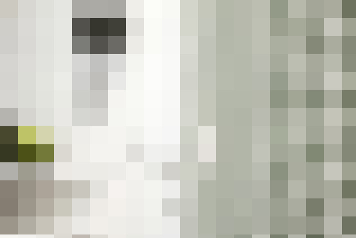  / #14