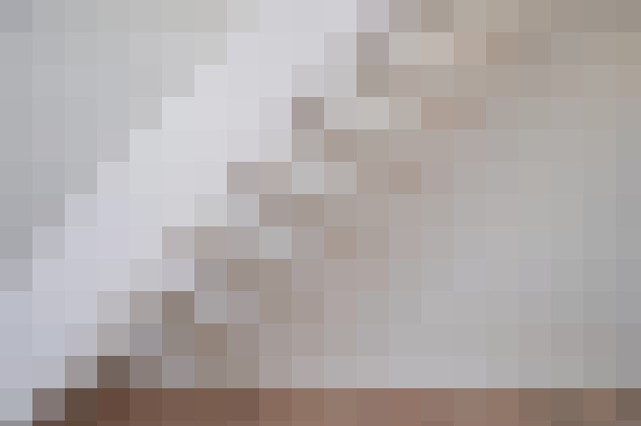  / #12