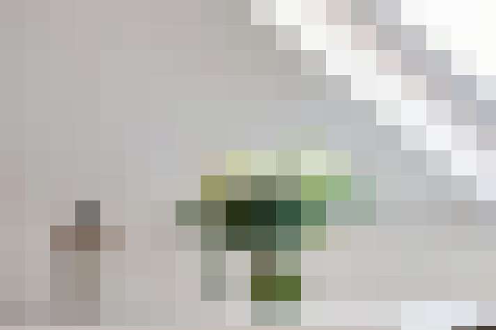  / #16