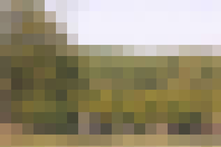  / #14