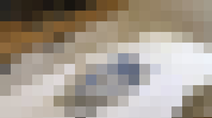  / #21
