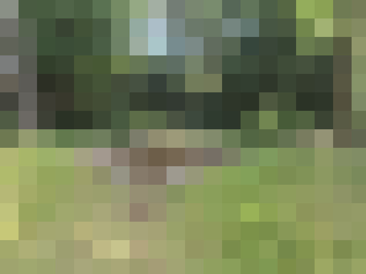 Image 22