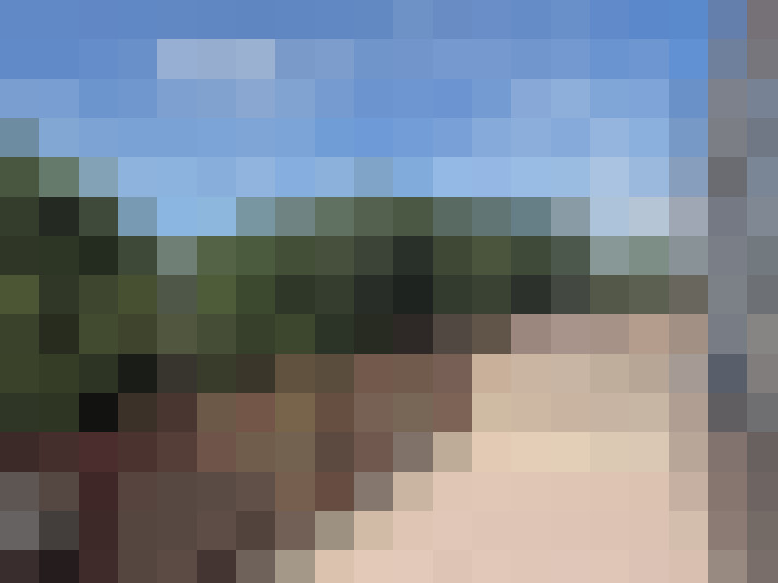 Image 20