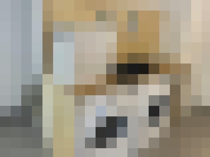  / #26