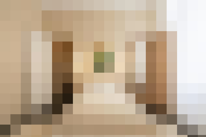  / #20