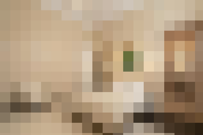  / #19