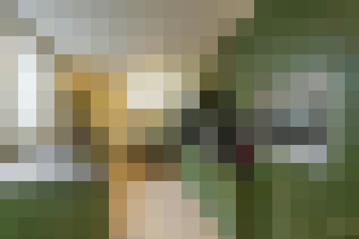  / #16