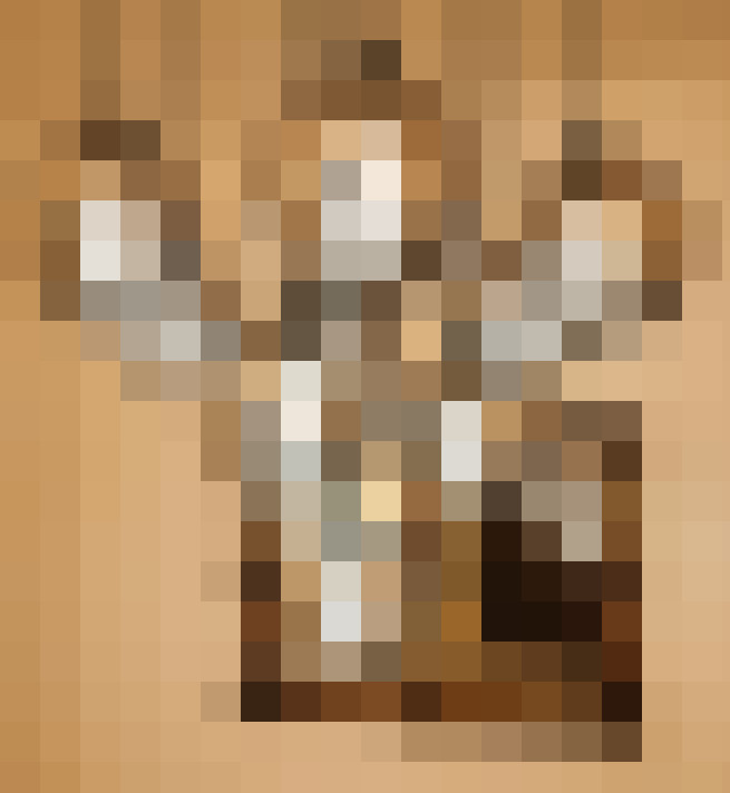  / #17