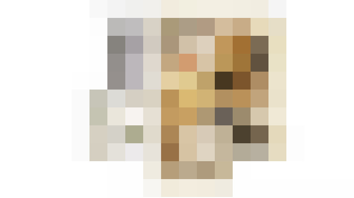 / #19