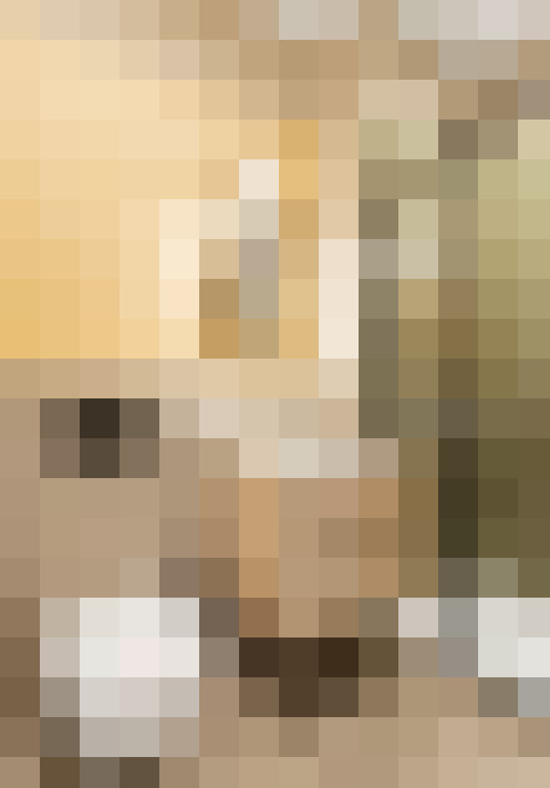  / #17