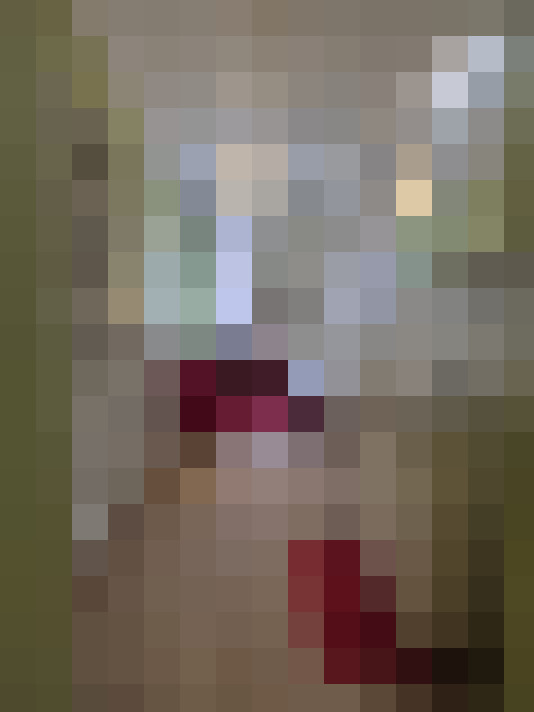  / #12