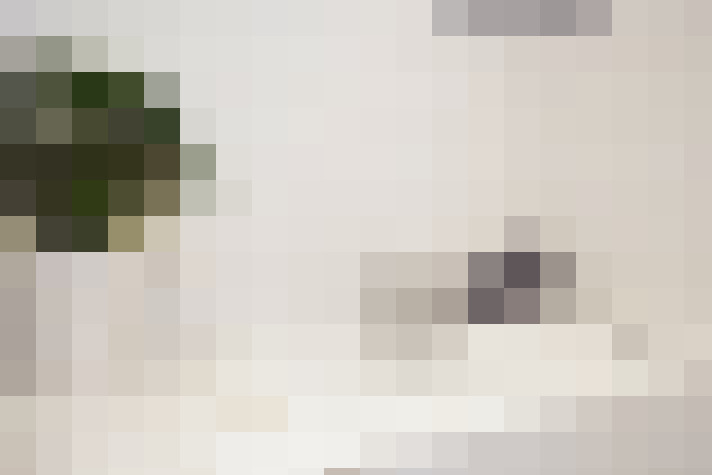  / #26
