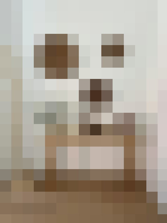  / #18
