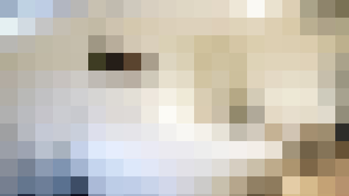  / #17