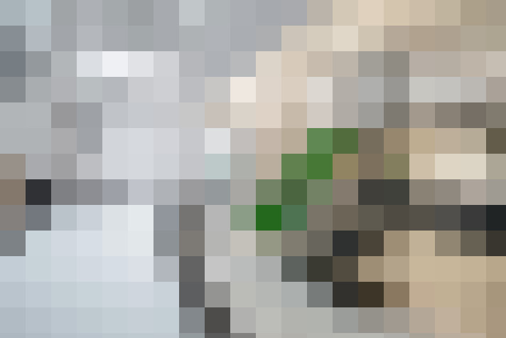  / #11