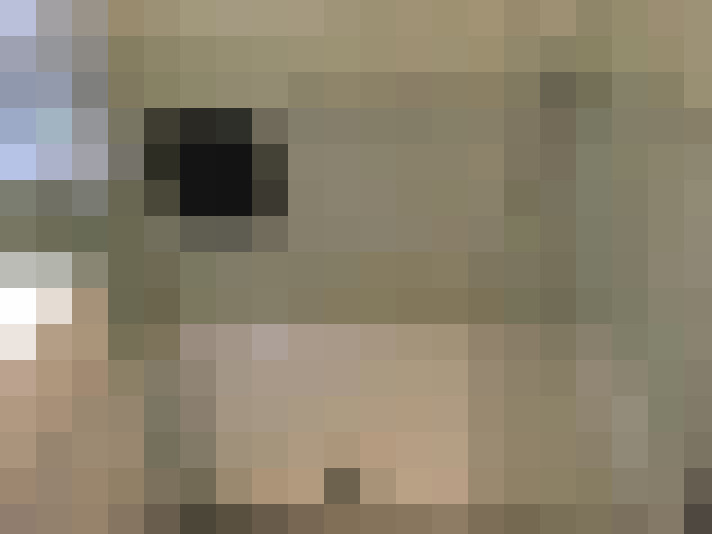  / #13