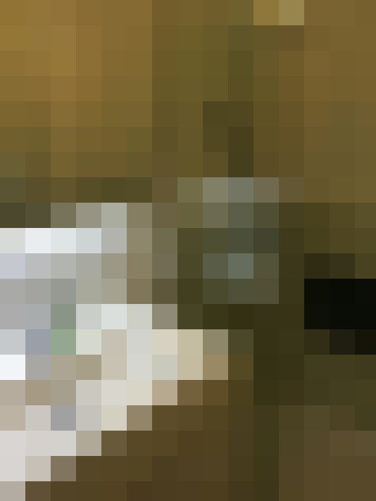  / #12
